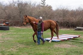 LR-WRF 0402026 Retreat-3588